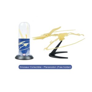 Build Your Own Collectible – Pteranodon – Mideer Build Your Own Collectible - Pteranodon Mideer Educational Toys