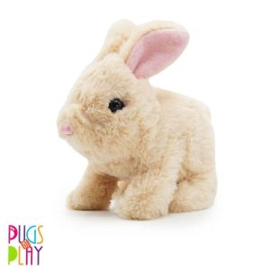 Cookie Jumping Rabbit – Pugs At Play Cookie Jumping Rabbit Pugs At Play Early Education