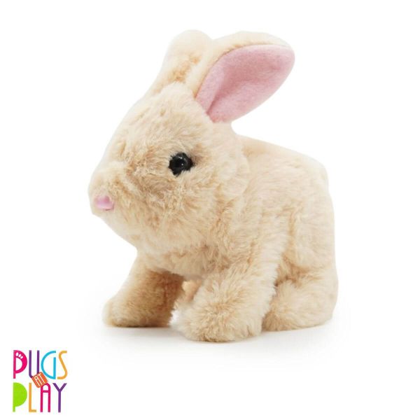 Cookie Jumping Rabbit – Pugs At Play Cookie Jumping Rabbit Pugs At Play Early Education