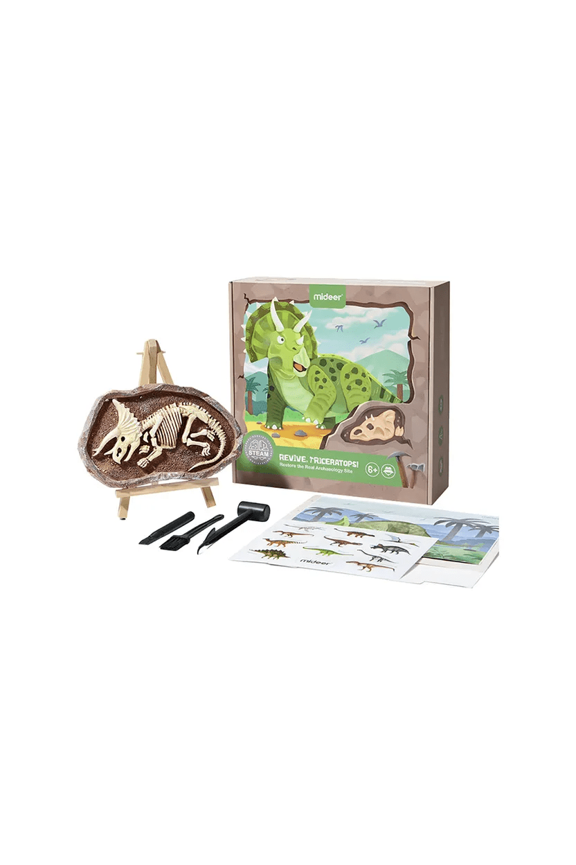 Dig A Dinosaur Kit – Triceratops – Mideer Dig A Dinosaur Kit - Triceratops Mideer STEM