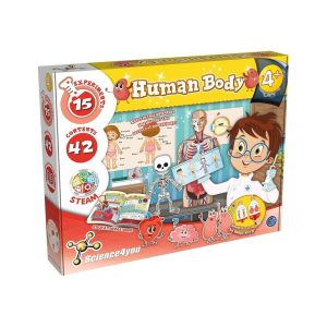 Human Body – Science4you Human Body Science4you Early Education