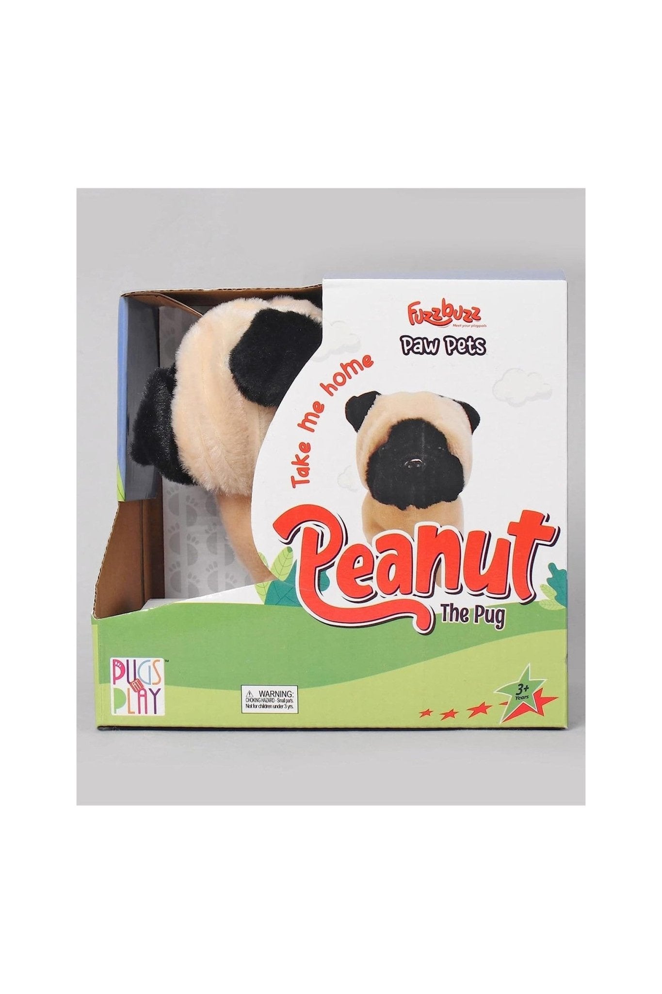 Peanut The Pug Walking Dog – Pugs At Play Peanut The Pug Walking Dog Pugs At Play Early Education