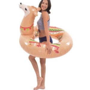 Sun Club Alpaca Ring 115Cm 37609 – Jilong Sun Club Alpaca Ring 115Cm 37609 Jilong Early Education